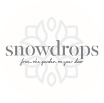 Website Test Item - £1 (please ignore)