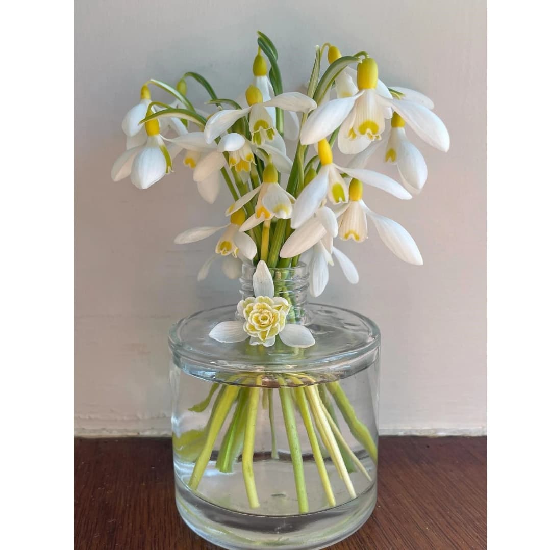 Greetings Card - Vase of Yellow Snowdrops (Free P&P)